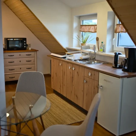 Voll ausgestattete Küche mit Mini-Ofen, Doppel-Induktionsplatte, Kühlschrank, Kaffeemaschine und Wasserkocher