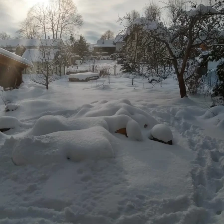 Der schneebedeckte Garten verwandelt sich in eine ruhige Winterlandschaft